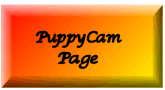 PuppyCam Page